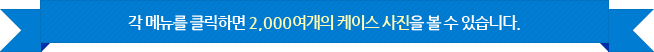 각 메뉴를 클릭하면 2천여개의 케이스 사진을 볼 수 있습니다.